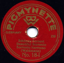 Pigmynette